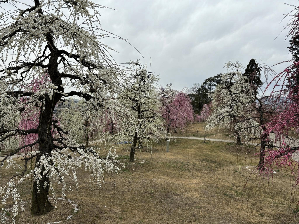 491901619_1137015948226284_5509587340021273980_n