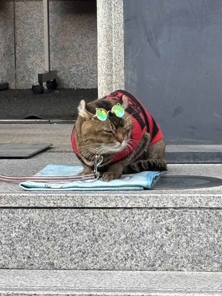 580531922_1300291025232108_8507878977155205465_n