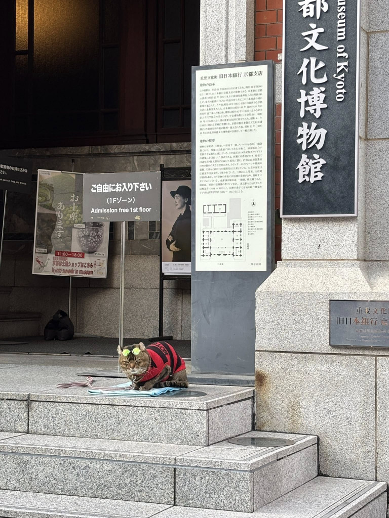 581232217_1300291018565442_7698448095884178256_n